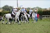 UKPA  NC Sat_1312